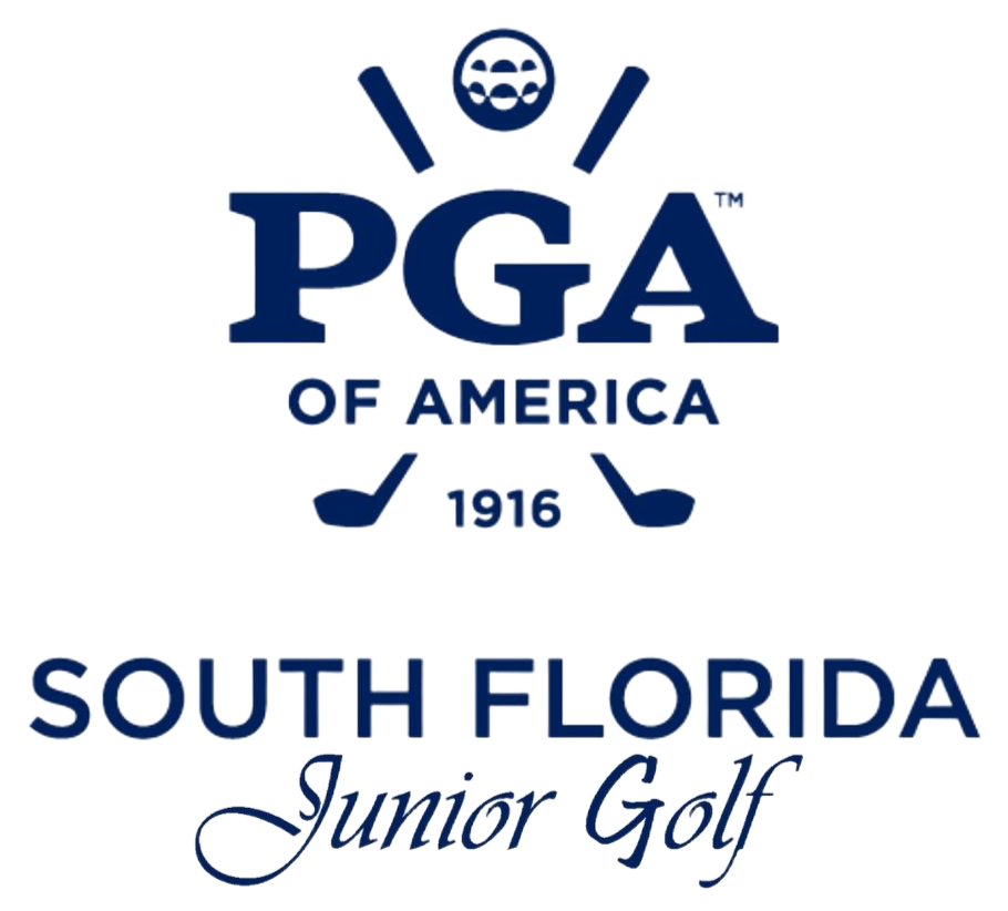 SFPGA Junior